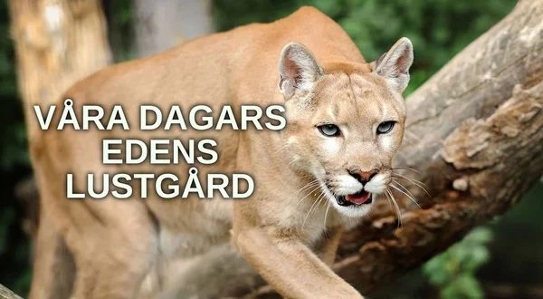 Våra dagars Edens lustgård