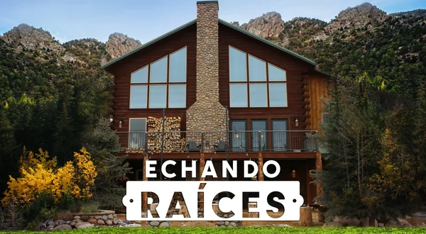 Echando raíces