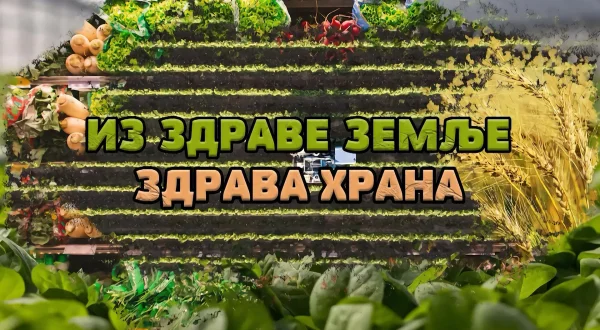 Iz zdrave zemlje zdrava hrana