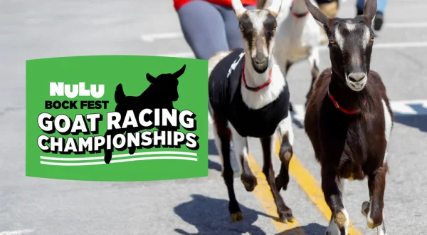 2025 NuLu Bock Fest Goat Racing Championships