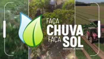 Faça Chuva Faça Sol