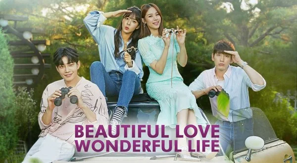 Beautiful Love, Wonderful Life