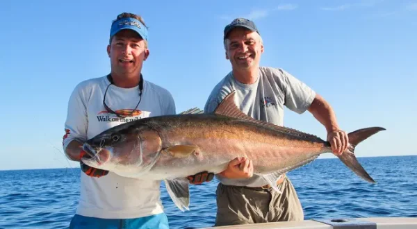 Amberjack-Party vor der Baleareninsel Ibiza