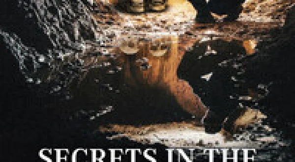 Secrets In The Dark