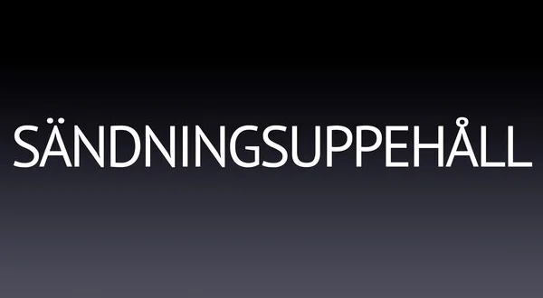 Sändningsuppehåll