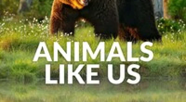 Animals Like Us