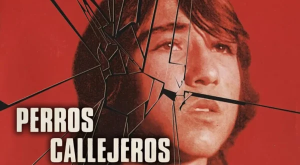 Perros callejeros