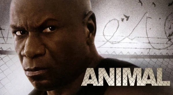 Animal