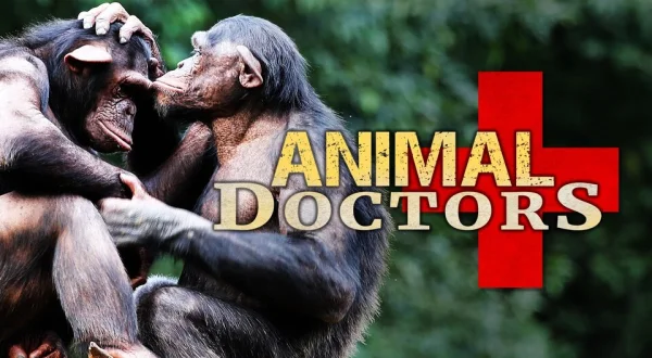 Animal Doctors