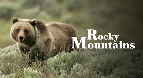 Rückeroberung der Rocky Mountains