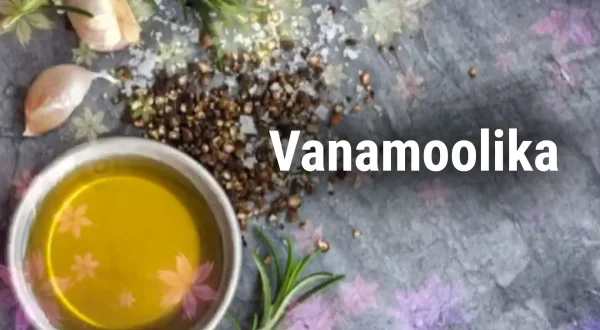 Vanamoolika