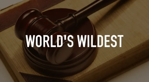 World's Wildest