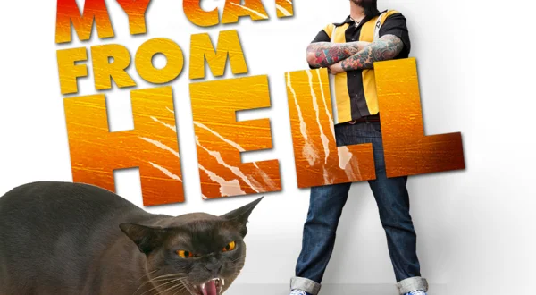 My Cat From Hell