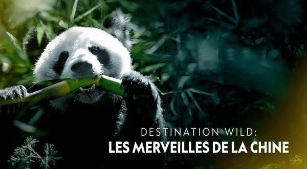 Destination Wild : Les merveilles de la Chine