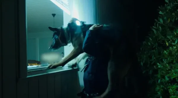 Police Dogs