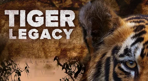 Tiger Legacy
