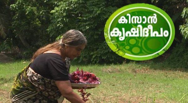 Kissan Krishideepam