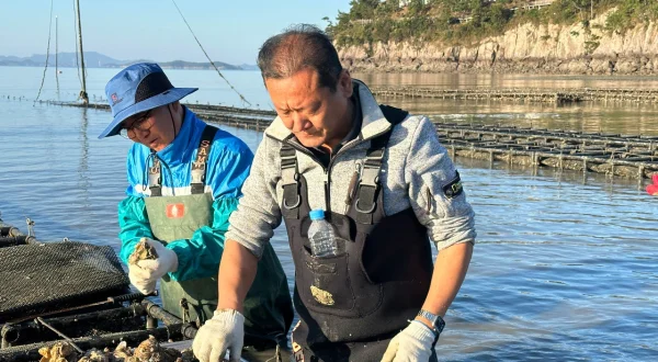 Naturjuwel Südkorea – Kragenbären, Kimchi und Klosterleben