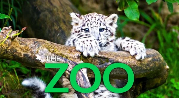The Zoo