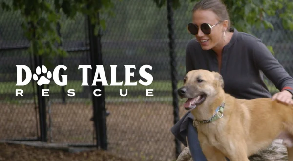 Dog Tales Rescue