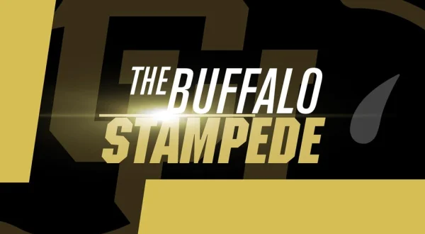 The Buffalo Stampede