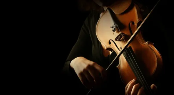 Violin Concerto - Allegro, ma non tanto
