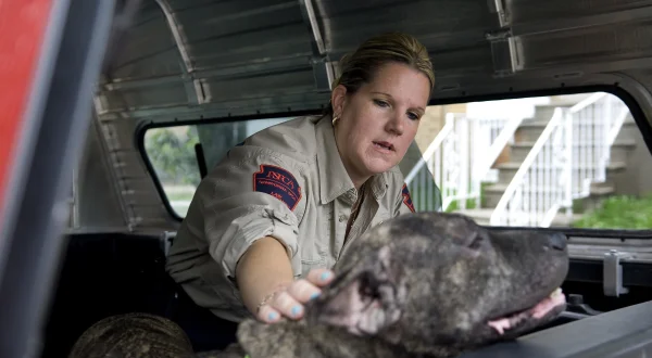 Animal cops Philadelphia