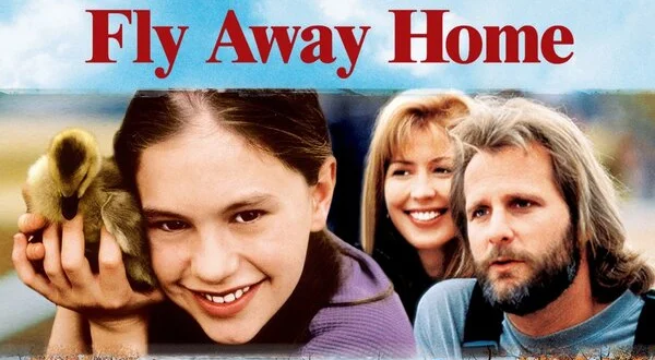 Fly Away Home
