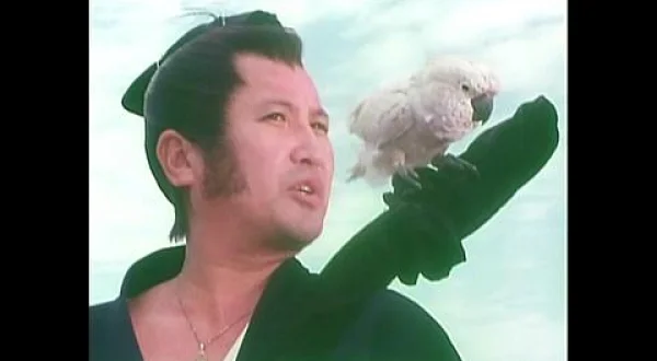破れ新九郎