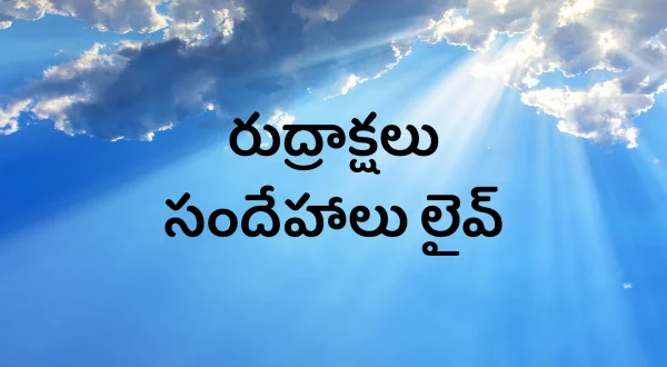 రుద్రాక్షలు సందేహాలు లైవ్
