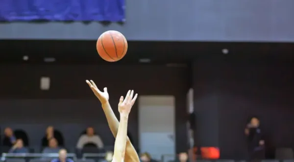 Domenica Basket