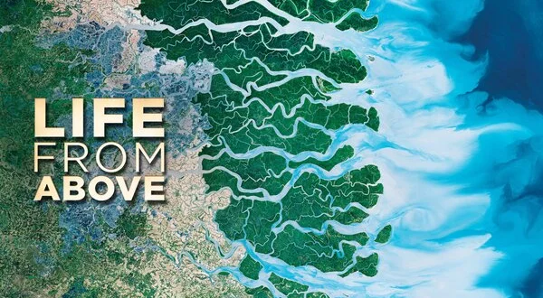 Life From Above