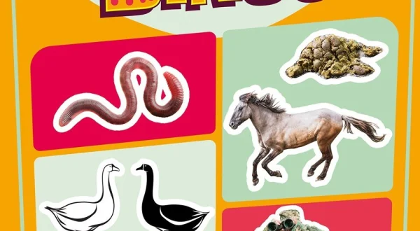 Beestenbrigade bingo