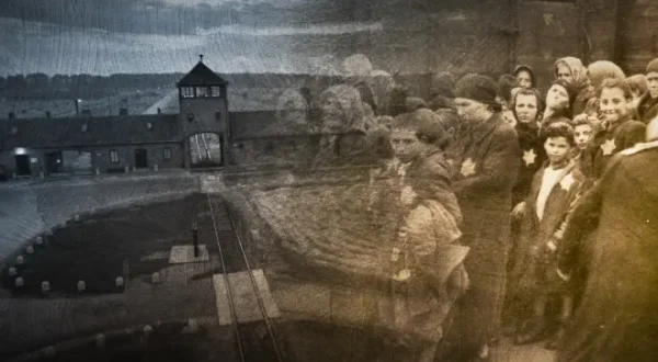 Ascension et déclin du nazisme