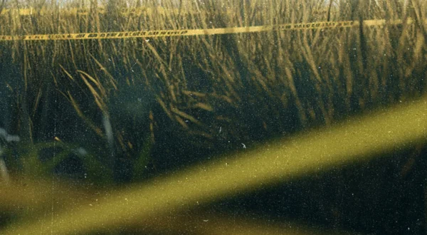 Murder in the Heartland