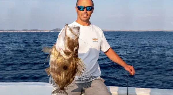 Big Game & Lighttackle-Fishing vor Kroatien