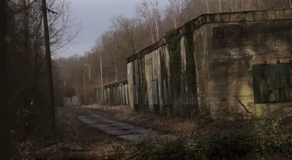 Pouvoir et paranoïa du IIIe reich