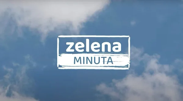 Zelena minuta