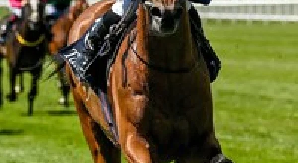 Live: Racing