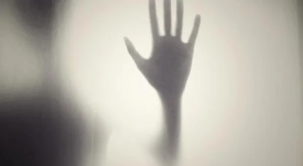 Chucky, el muñeco diabólico 2