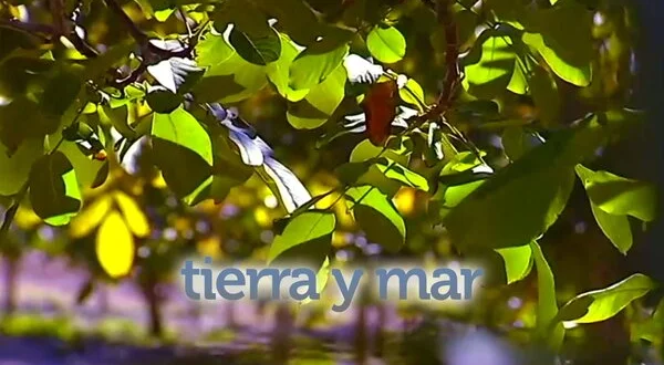 Tierra y mar