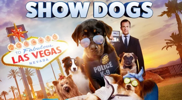Show Dogs