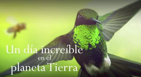 Un día maravilloso en la Tierra