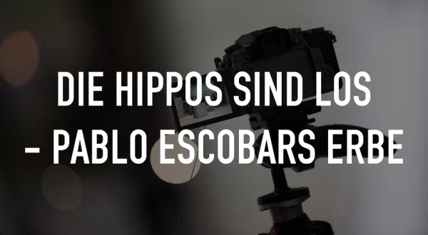 Die Hippos sind los - Pablo Escobars Erbe