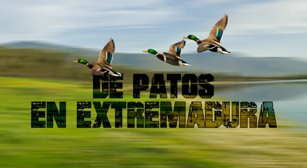 De patos en Extremadura