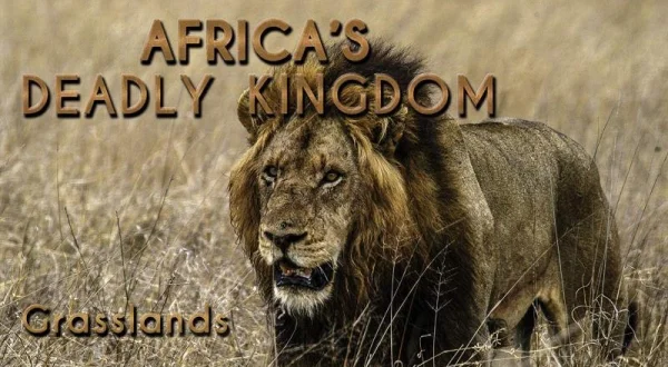 Smrtící africká říše