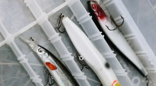 Hechtangeln mit Köderfisch - Die perfekte Pop-up-Montage