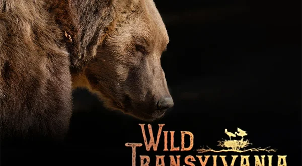 Wild Transylvania: Dracula's Hidden Kingdom