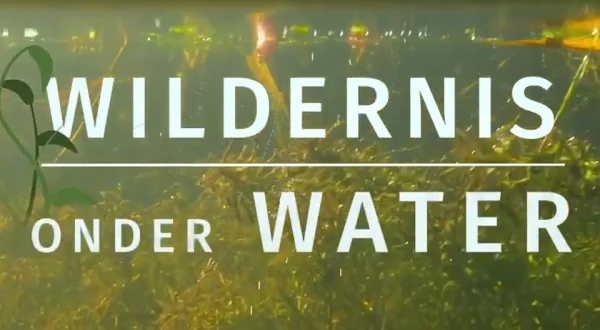 Wildernis onder Water