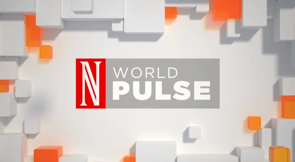 World Pulse